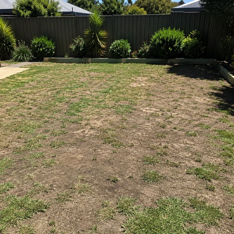 Worn patchy lawn with bare soil showing through before new turf is laid